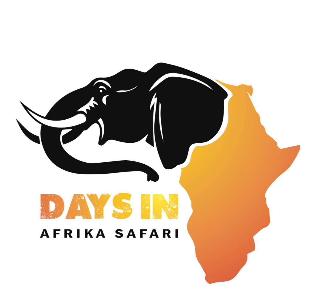 DaysInAfrica
